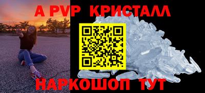 стафф Дубна